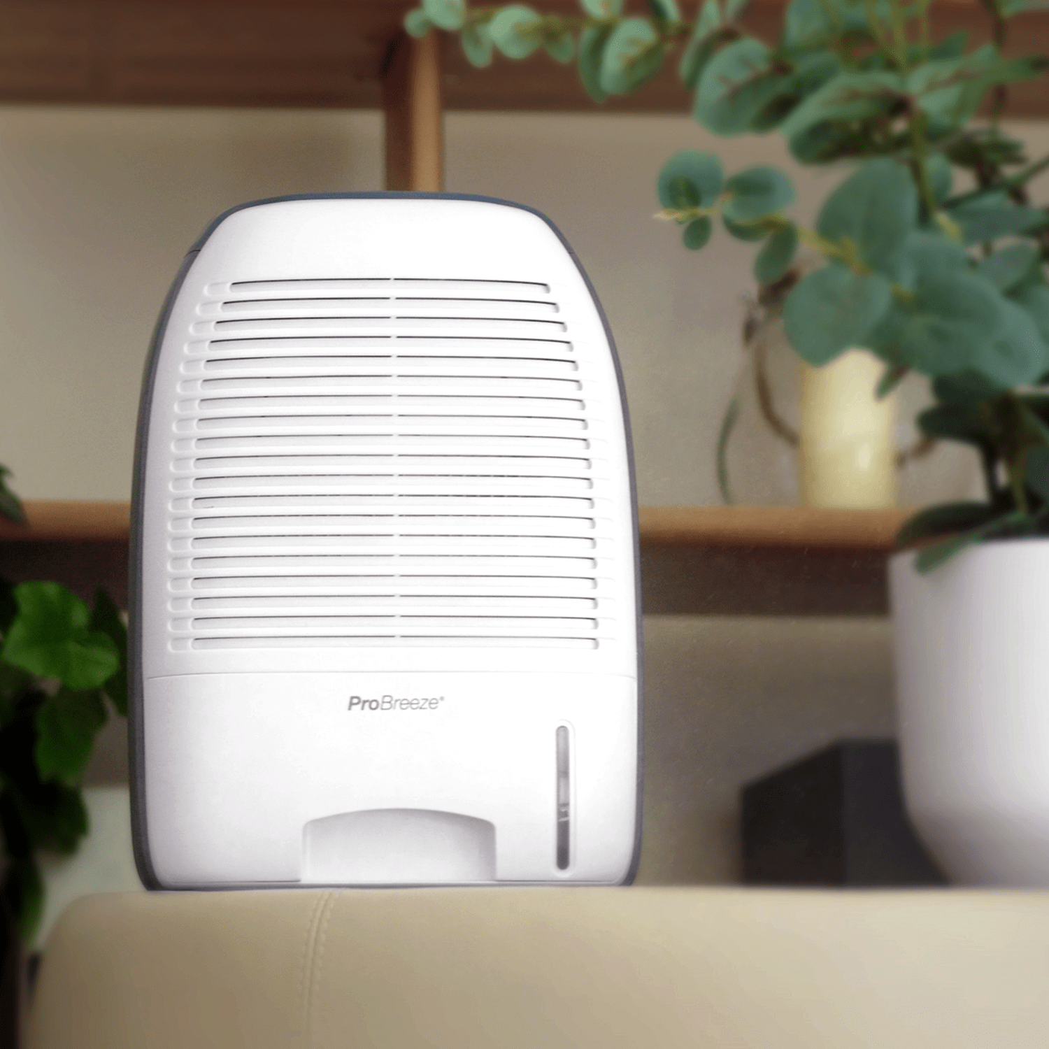 52 Ounce Premium Dehumidifier