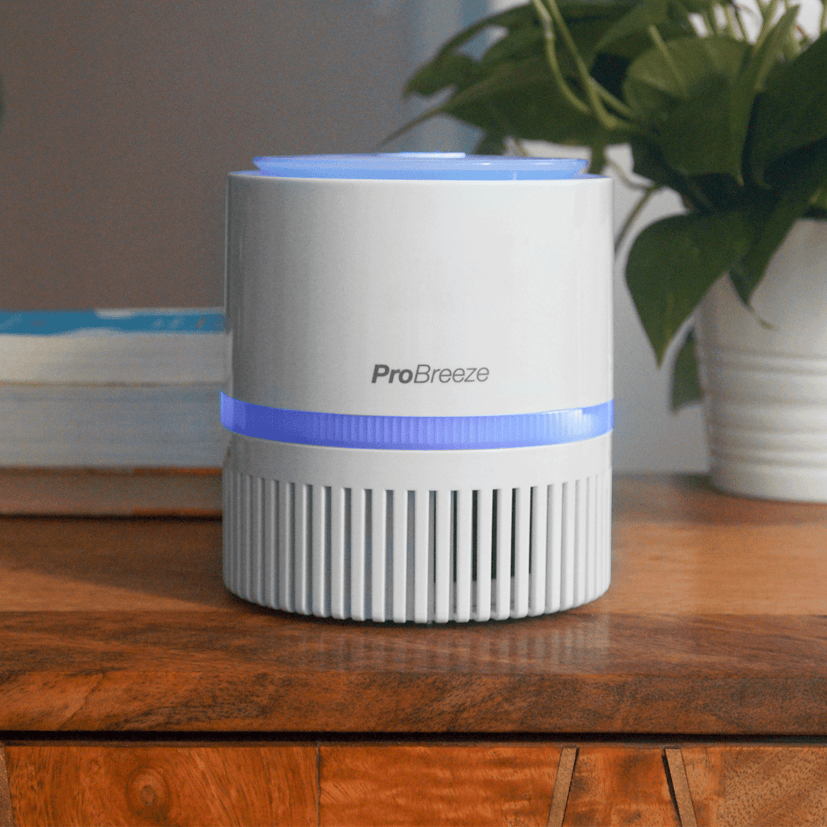 3-in-1 Mini Air Purifier with True HEPA Filter, Negative Ioniser and USB Adaptor