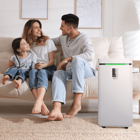 Large Air Purifier with HEPA 13 Filter, 2000 Sq. Ft Coverage, WiFi and Smart App